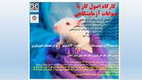 اطلاعیه برگزاری کارگاه اصول کار با حیوانات آزمایشگاهی